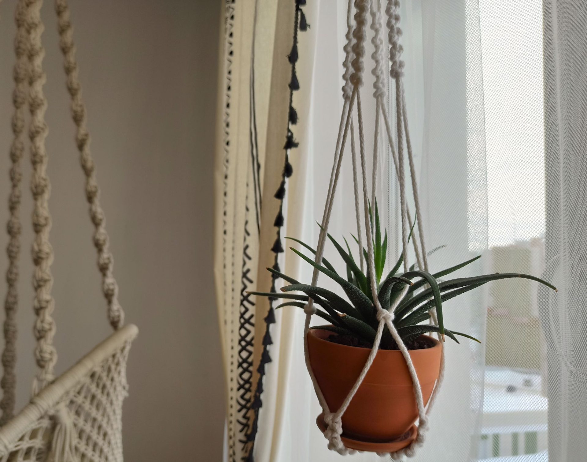 Macrame plant hanger without tassel pattern PDF 5 Macrame plant hanger without tassel pattern PDF - Image 5