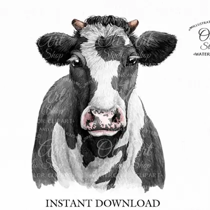 Cow clipart PNG, farm animals, hand drawn graphics,