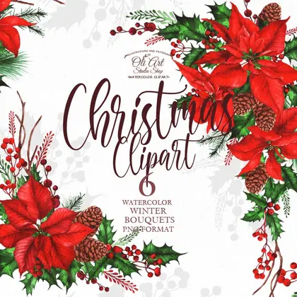 Watercolor Christmas Rustic ClipArt Winter Flowers poinsettia
