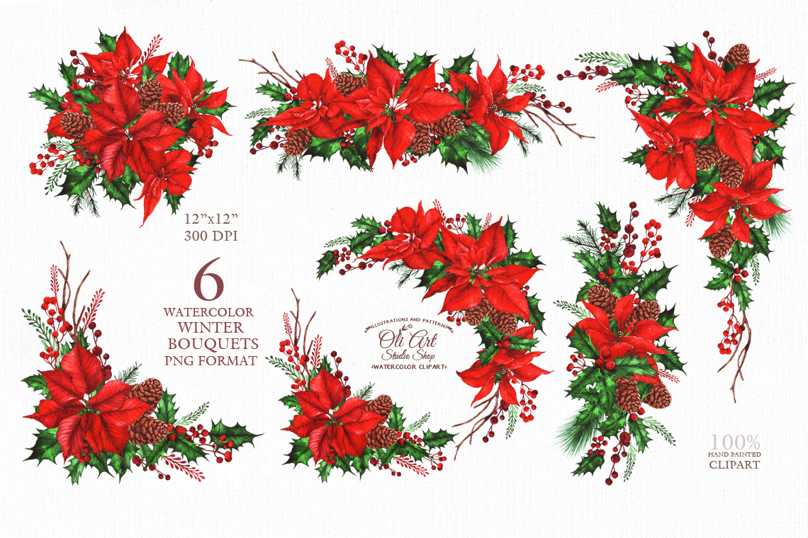 Watercolor Christmas Rustic ClipArt Winter Flowers poinsettia 2 Watercolor Christmas Rustic ClipArt Winter Flowers poinsettia - Image 2