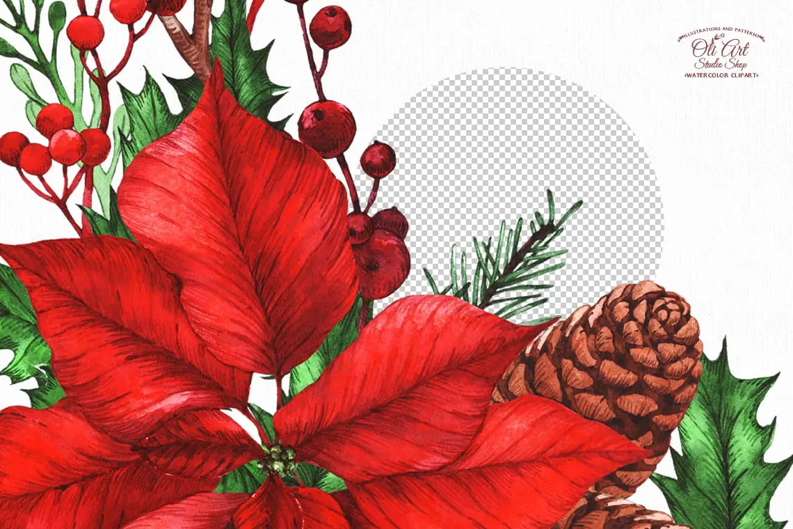 Watercolor Christmas Rustic ClipArt Winter Flowers poinsettia 3 Watercolor Christmas Rustic ClipArt Winter Flowers poinsettia - Image 3