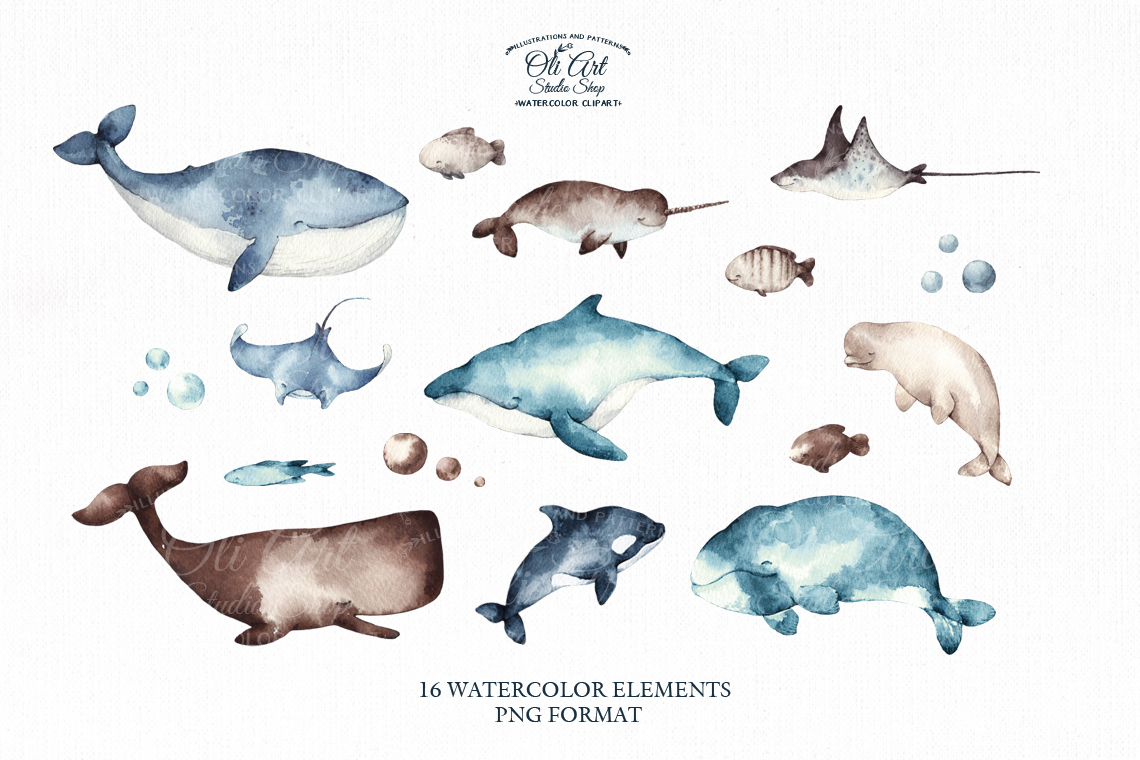 Watercolor Whale Clipart, Underwater creatures clip art 2 Watercolor Whale Clipart, Underwater creatures clip art - Image 2