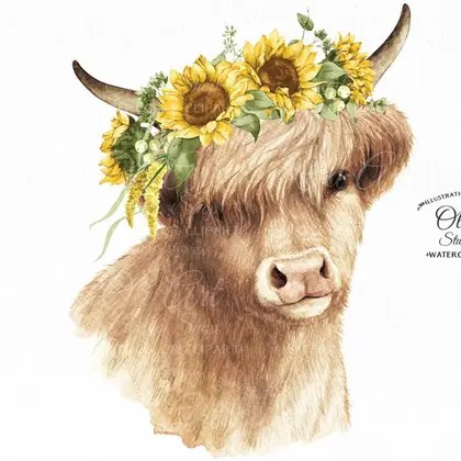 Highland cow with sunflowers clipart PNG, Heifer