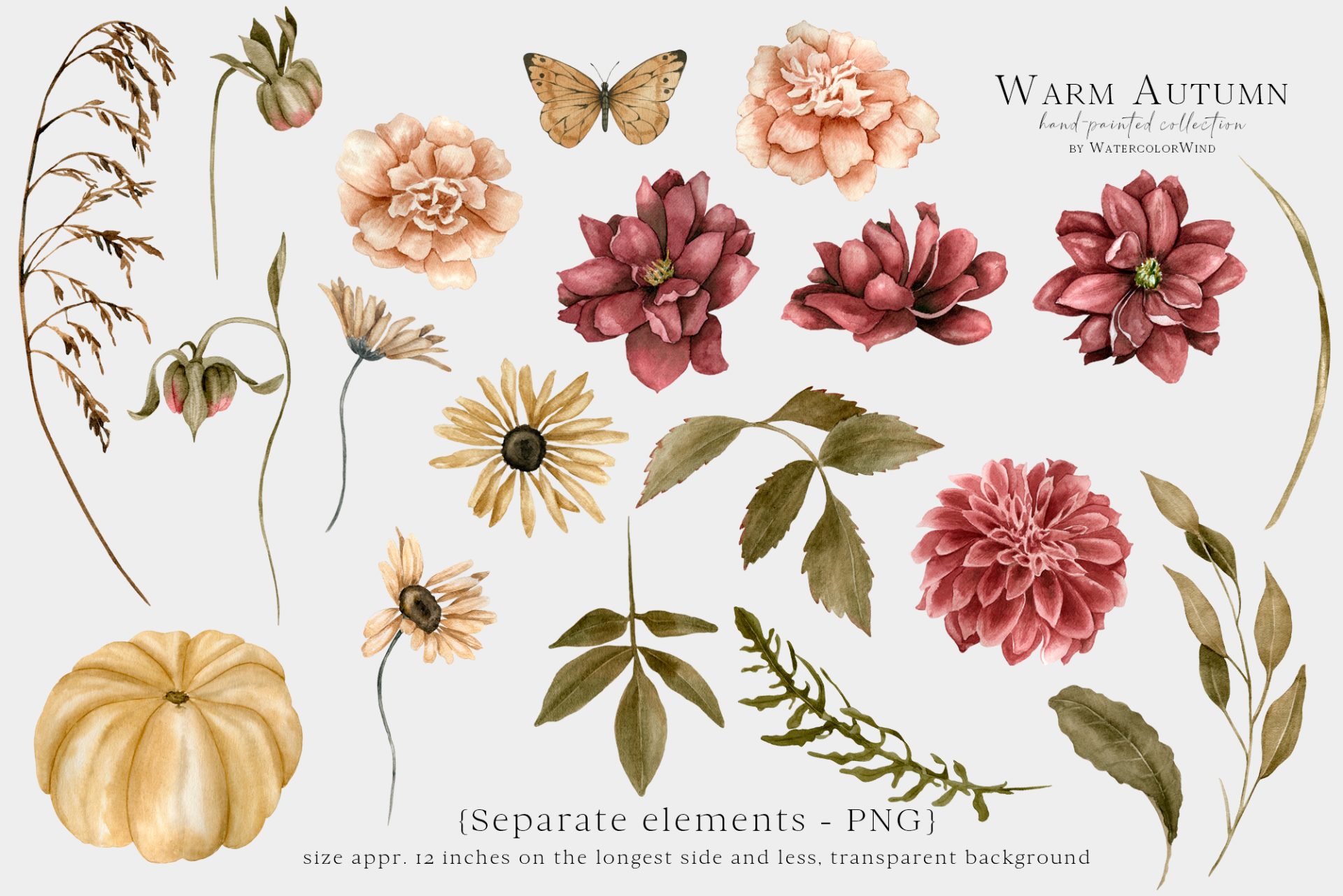 Fall Floral Watercolor Clip Art with Dahlia, Marigold Flowers 3 fall floral watercolor clip art
