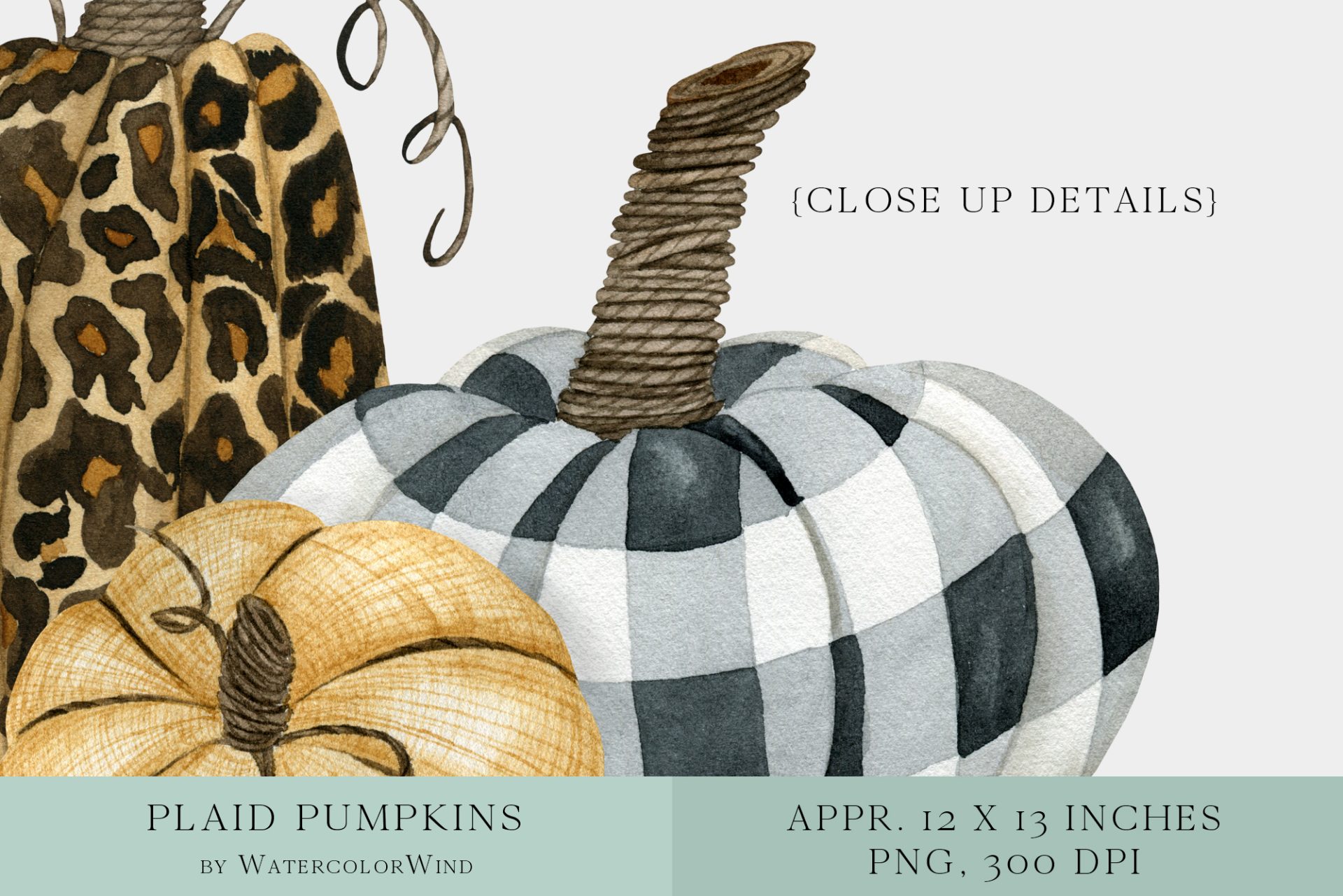 Checkered fall plaid pumpkin clipart autumn thanksgiving 4 Checkered fall plaid pumpkin clipart autumn thanksgiving - Image 4