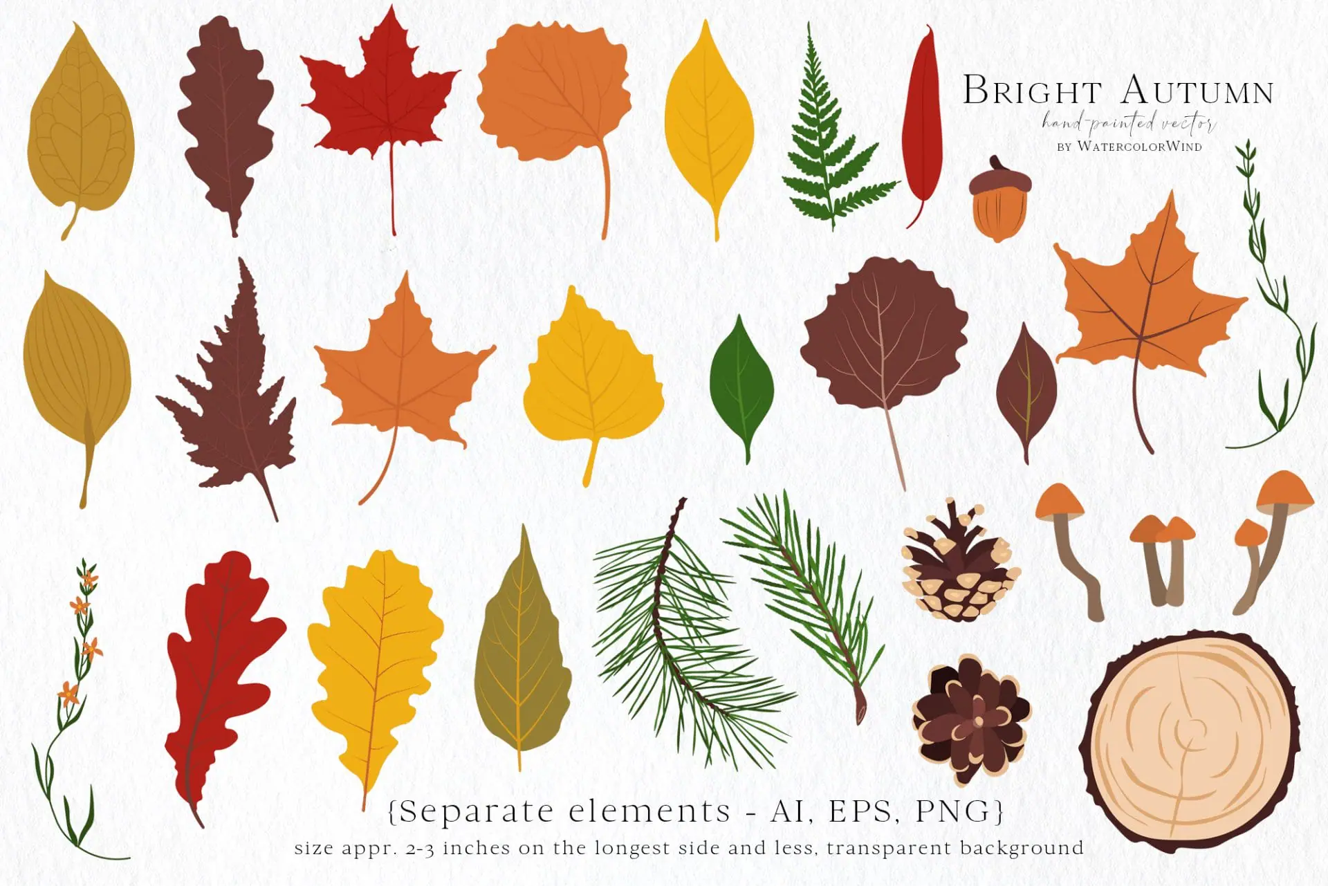 Fall vector leaves clip art set with pine branches and mushrooms 4 Fall vector leaves clip art set with pine branches and mushrooms - Image 4