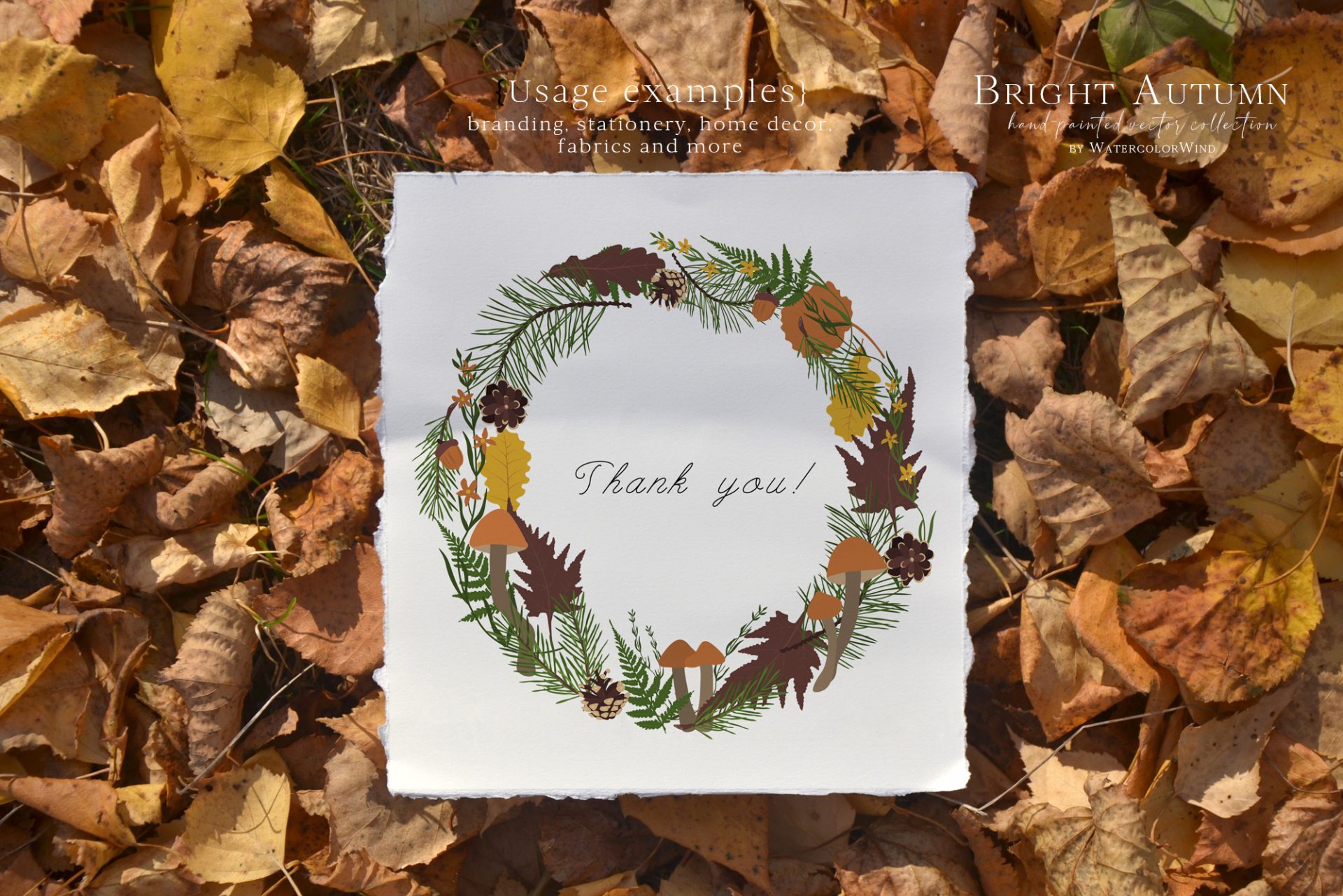 Fall vector leaves clip art set with pine branches and mushrooms 7 Fall vector leaves clip art set with pine branches and mushrooms - Image 7