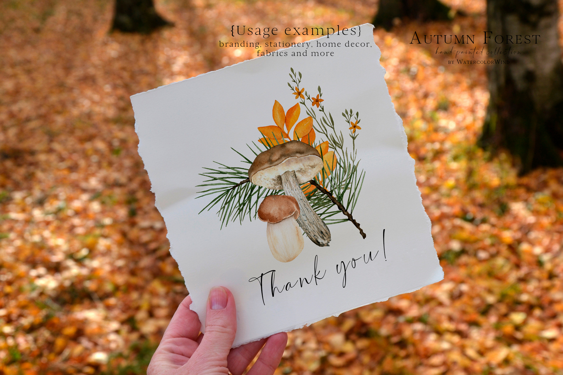 Fall forest mushrooms clip art, watercolor autumn clipart 11 Fall forest mushrooms clip art, watercolor autumn clipart - Image 11