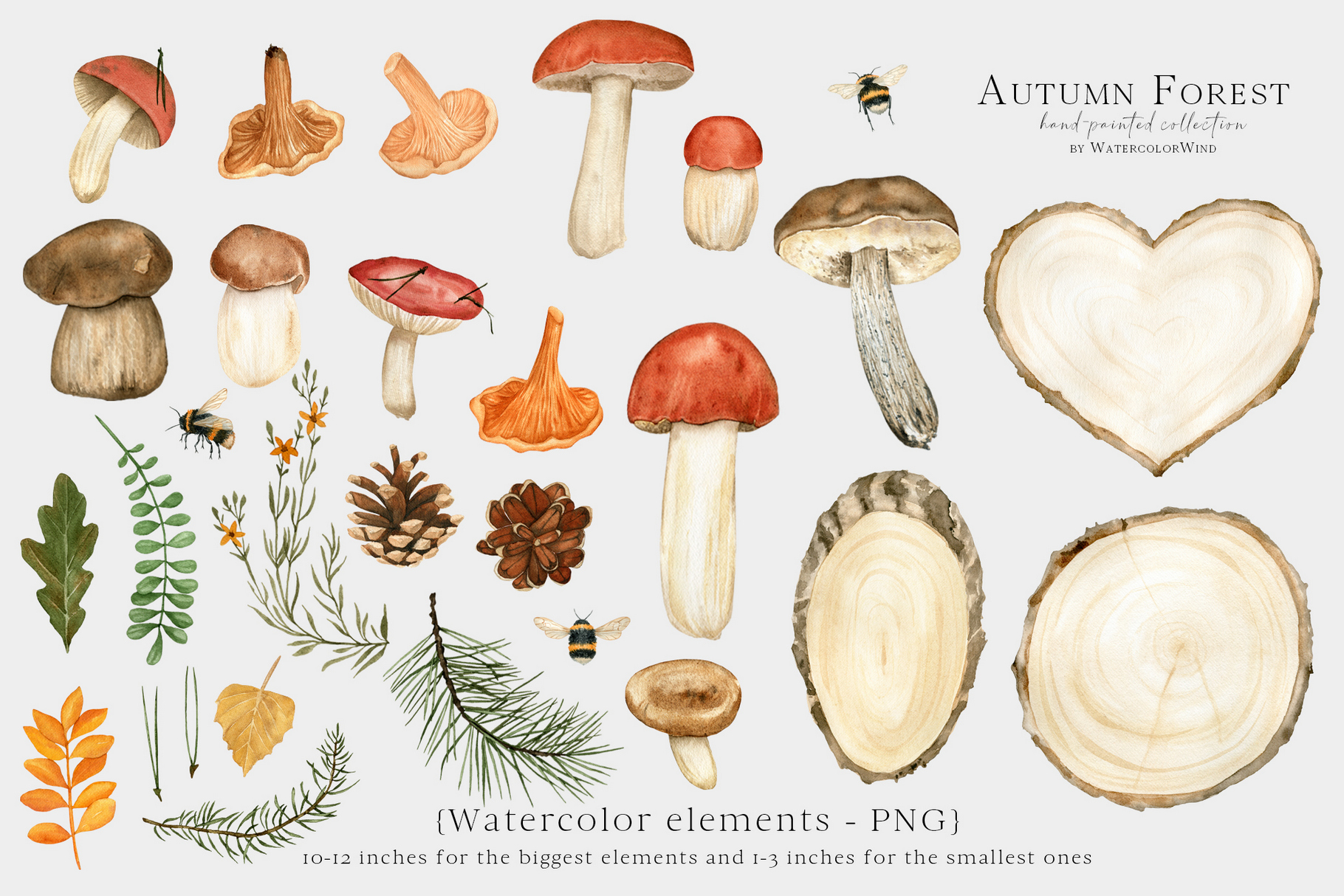 Fall forest mushrooms clip art, watercolor autumn clipart 6 Fall forest mushrooms clip art, watercolor autumn clipart - Image 6
