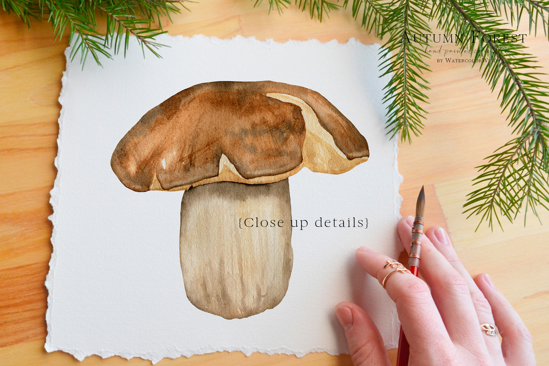 Fall forest mushrooms clip art, watercolor autumn clipart 7 Fall forest mushrooms clip art, watercolor autumn clipart - Image 7