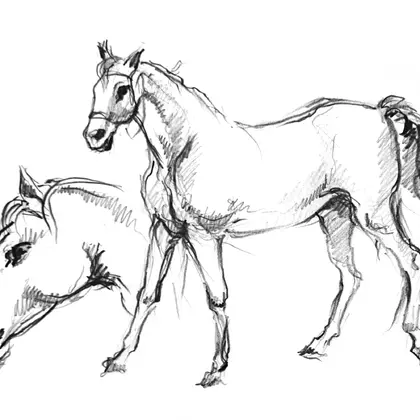 Graphic sketch of horses.