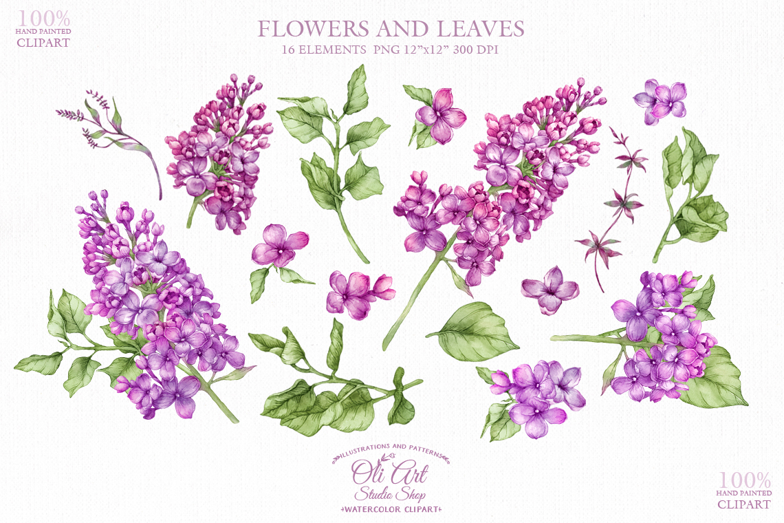 Watercolor flower clipart lilac. Flowerand pink floral paintings 2 Watercolor flower clipart lilac. Flowerand pink floral paintings - Image 2