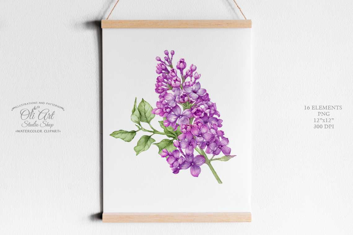 Watercolor flower clipart lilac. Flowerand pink floral paintings 4 Watercolor flower clipart lilac. Flowerand pink floral paintings - Image 4