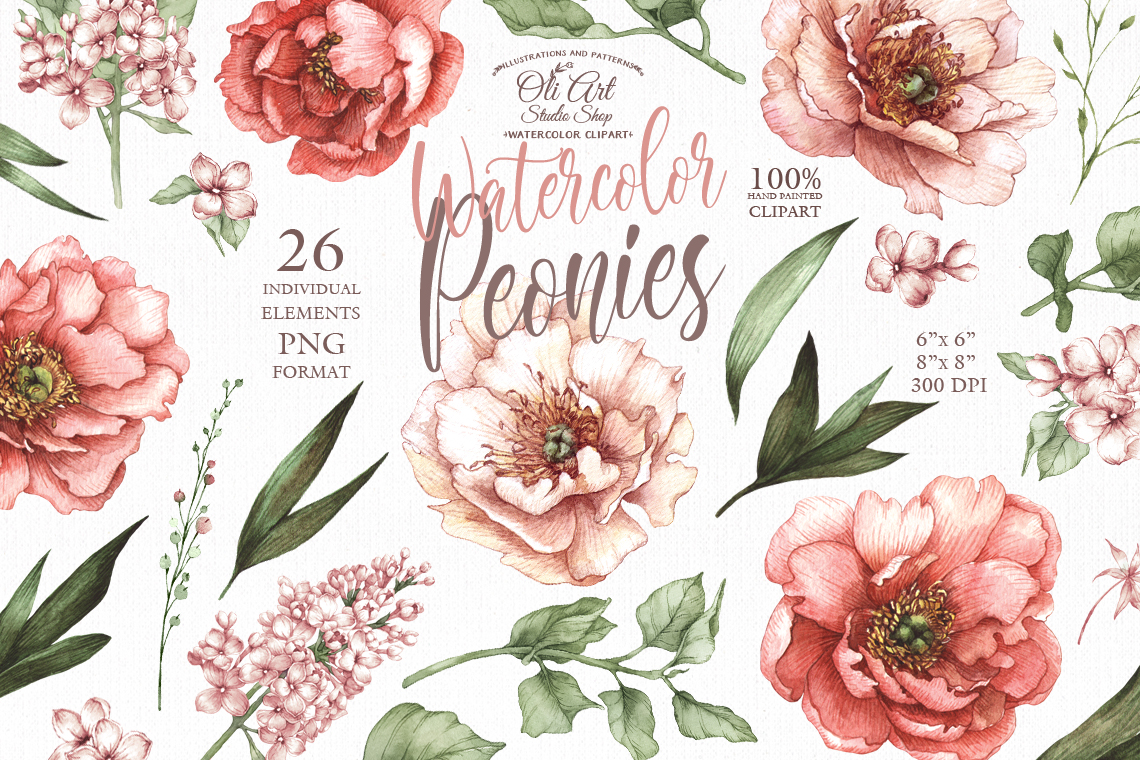 Watercolor flowers clipart. Pink peonies clipart. 3 Watercolor flowers clipart. Pink peonies clipart. - Image 3