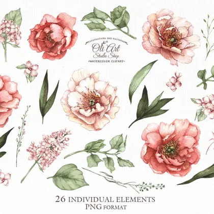 Watercolor flowers clipart. Pink peonies clipart.