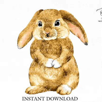 Watercolor bunny clipart png, сute characters, hand drawn graphics