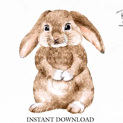 Watercolor bunny clipart png, сute characters, hand drawn graphics