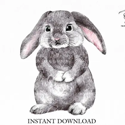 Watercolor bunny clipart png, сute characters, hand drawn graphics
