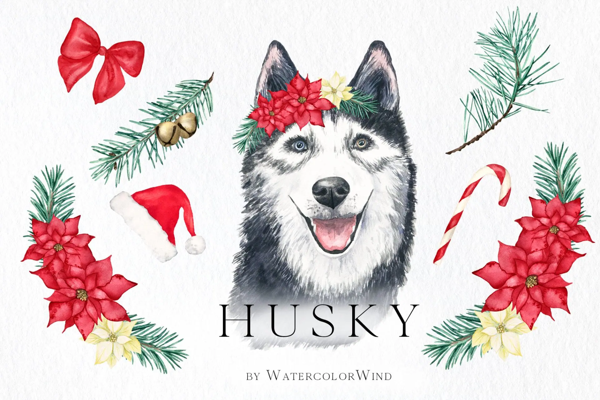 Watercolor Christmas Husky Dog Clipart for Instant Download 1 watercolor Christmas husky dog clipart