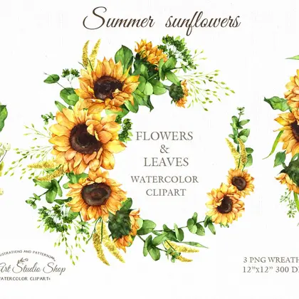 Watercolor sunflowers with leaves. Floral wreaths. Summer flowers