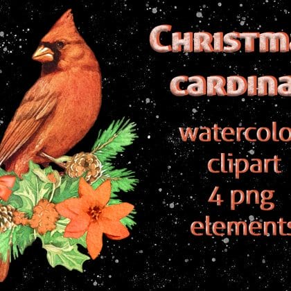 red bird cardinal png