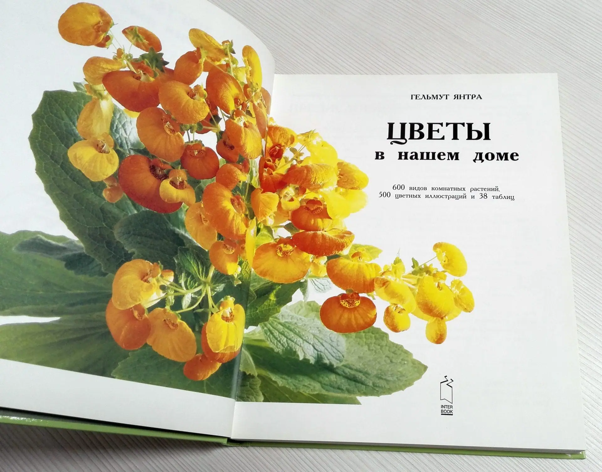 Soviet Vintage Book Flowers in our House. Flowers in the Garden 5 Soviet Vintage Book Flowers in our House. Flowers in the Garden - Image 5