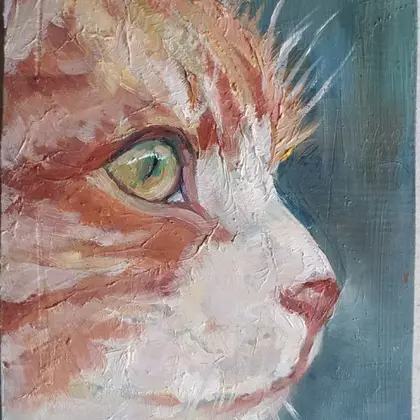 ginger cat profile