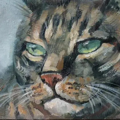 domestic tabby cat face green eyes