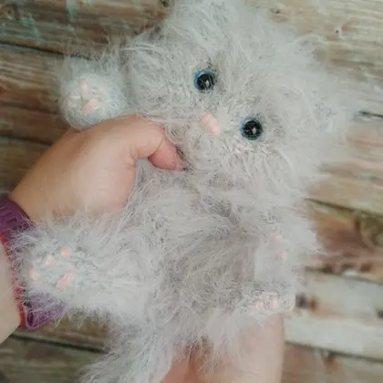 Little chunky cat, fluffy toy
