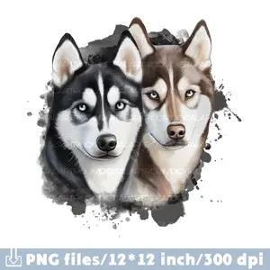 Two husky dogs Download Illustration Art print