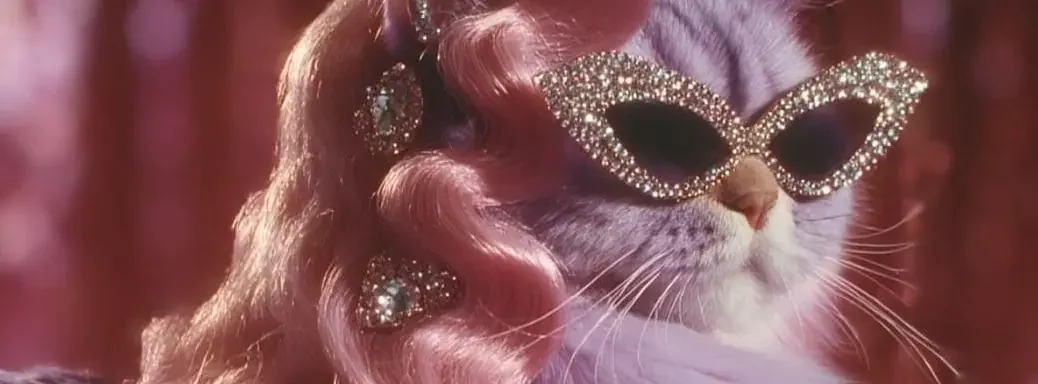 Bold Wigs and Hair designs