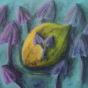 Fruit and shadows, series A silent mutation of light