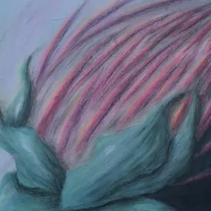 Pulse of Pink Flame, series A silent mutation of light