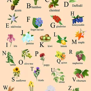 Educational English alphabet poster for kids with plant illustrat
