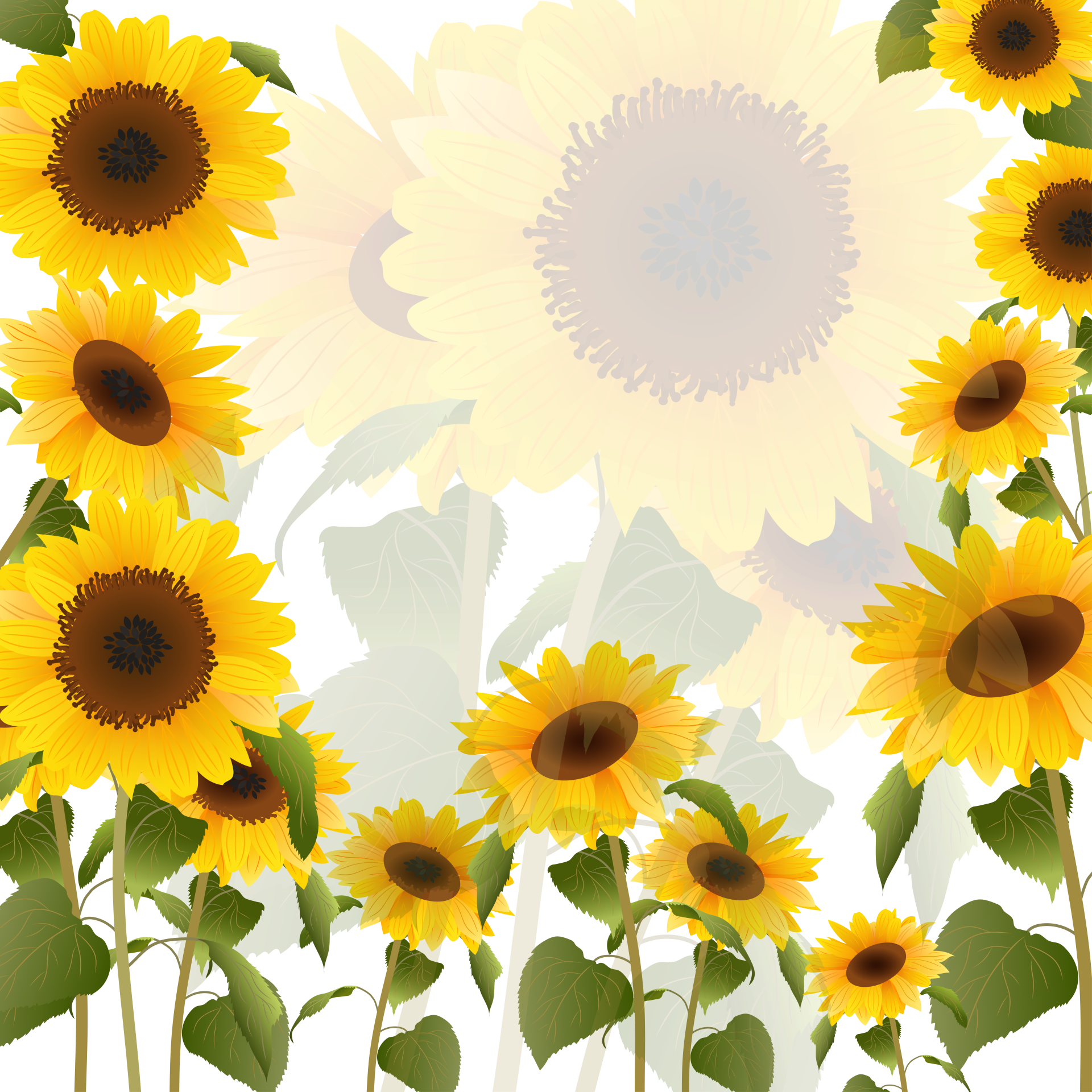 floral background bundle 3 sunflower vector illustration