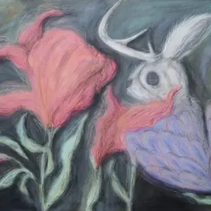 Hidden Form, series A silent mutation of light