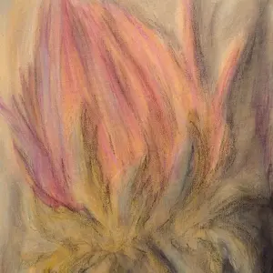 Flower swing, series A silent mutation of light