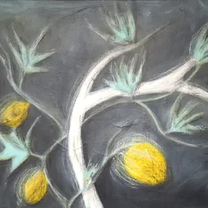 Lemons and a bone, series A silent mutation of light