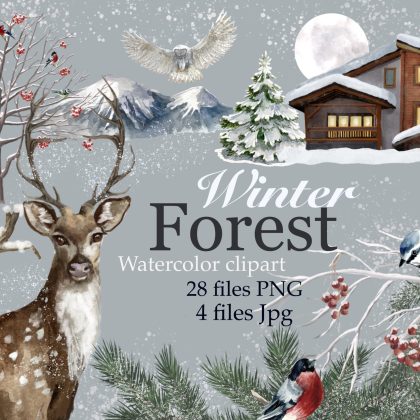 Winter forest