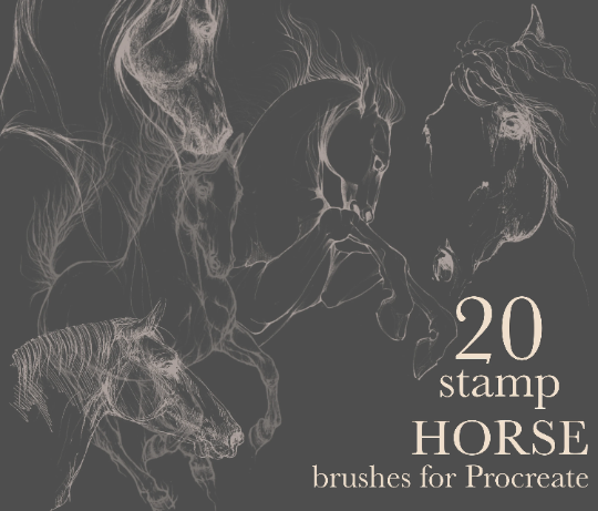 20 STAMP HORSE brushes for Procreate 1 20 STAMP HORSE brushes for Procreate