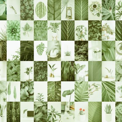 72 PCS Sage Green aesthetic wall collage kit download