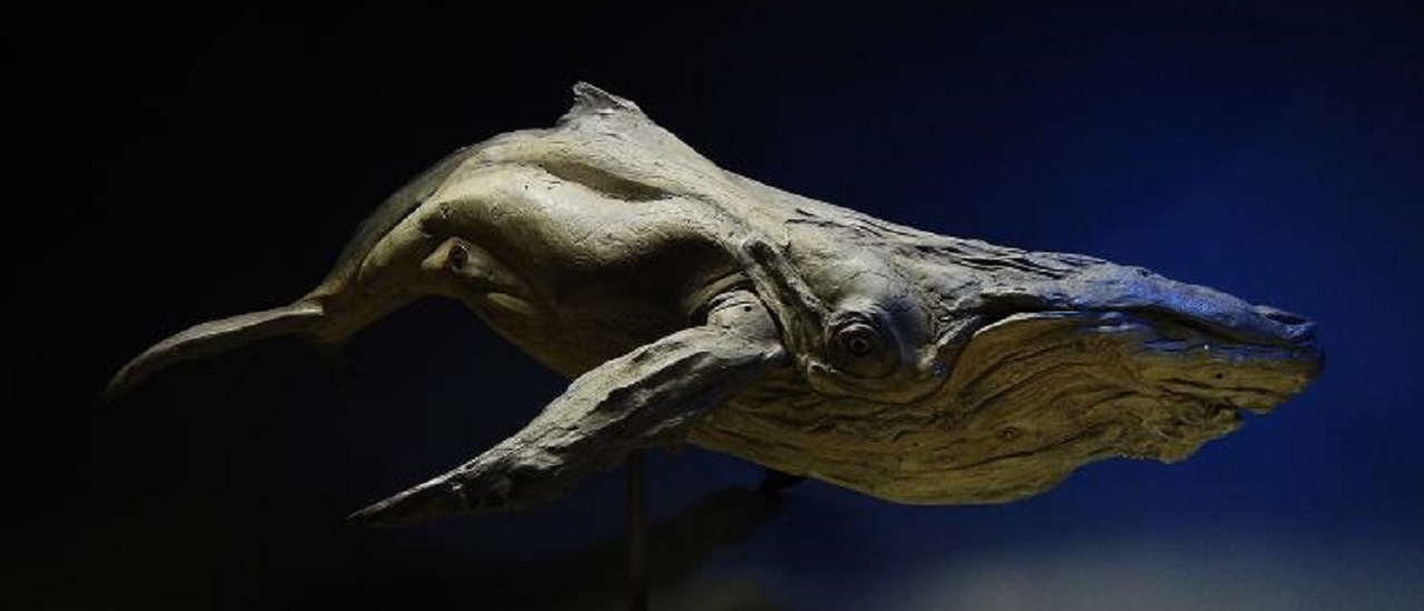 Driftwood Sculpture Art by Tony Fredriksson: Nature Transformed into Creativity