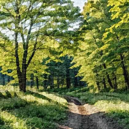 Painting - "Forest Trail''
