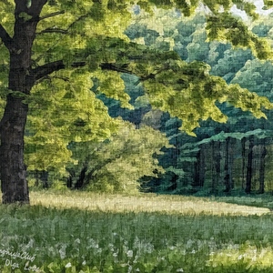 Painting - "Secret Woods''