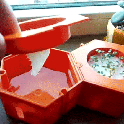 Modular hydroponic system for growing herbs on the windowsill