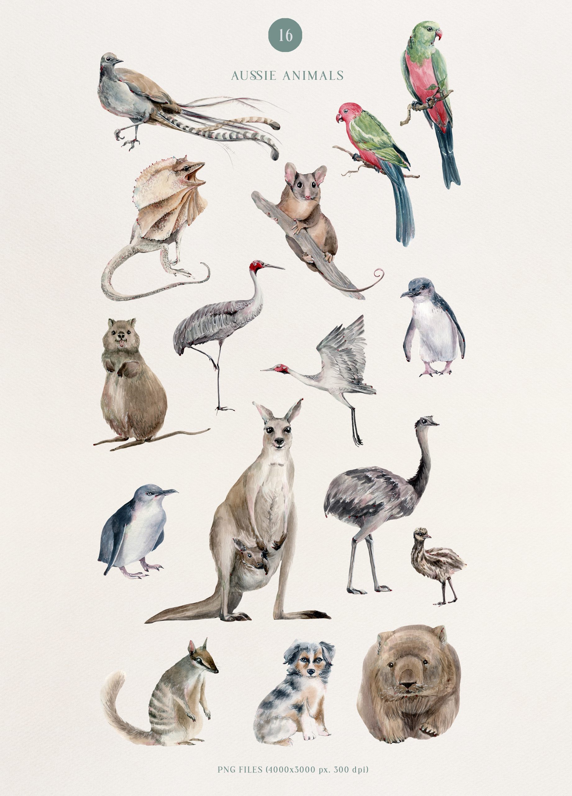 HELLO AUSTRALIA VOL.3 OBJECTS - Image 3