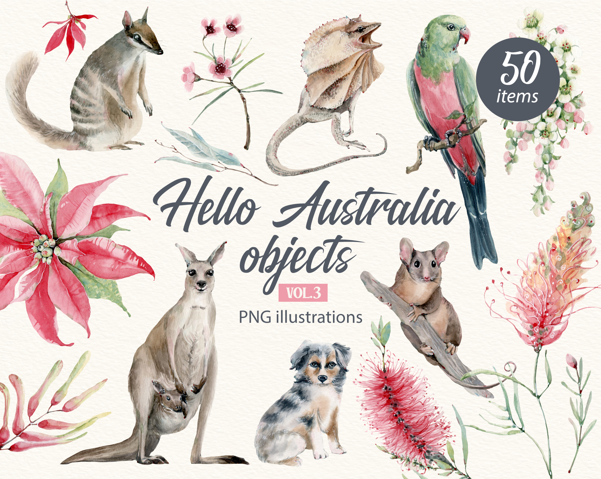 HELLO AUSTRALIA VOL.3 OBJECTS