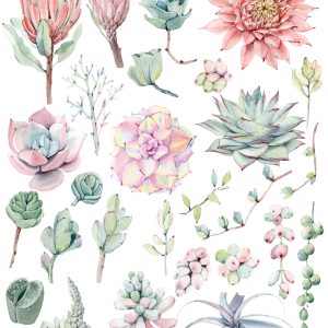 AMAZING SUCCULENTS OBJECTS