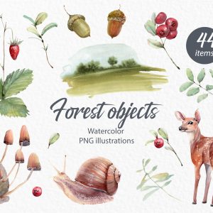 FOREST OBJECTS