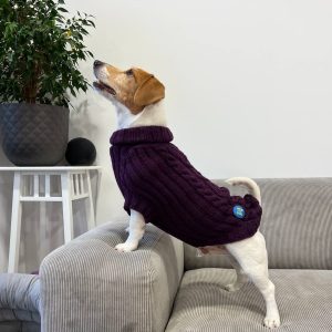 dog_sweater
